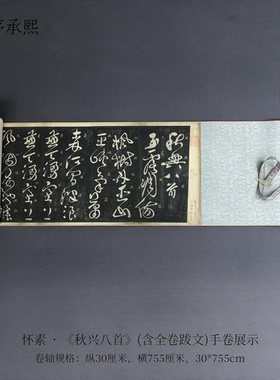 怀素大字草书秋兴八首早稻田藏本
