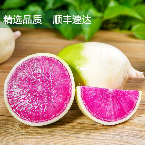 新鲜心里美萝卜农家红花心水果萝卜西餐轻食食材榨汁凉拌沙拉蔬菜 - 图3