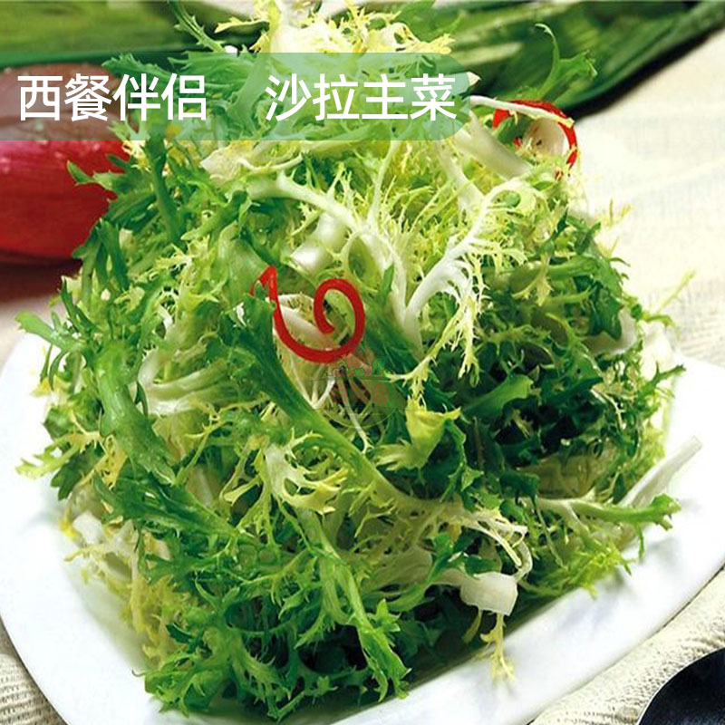 苦菊生菜新鲜九芽苦苣细叶西餐摆盘轻食健身清洗即食沙拉蔬菜食材 - 图1