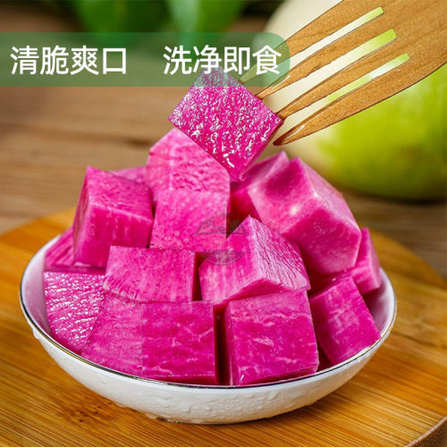 新鲜心里美萝卜农家红花心水果萝卜西餐轻食食材榨汁凉拌沙拉蔬菜 - 图1
