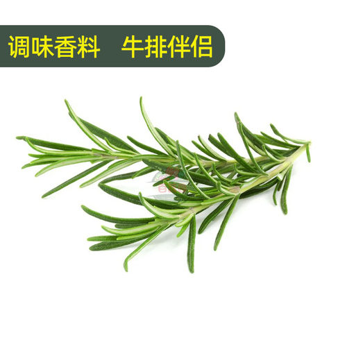 迷迭香百里香新鲜食用香草西餐煎牛排用蛋糕装饰组合香料蔬菜包邮 - 图2