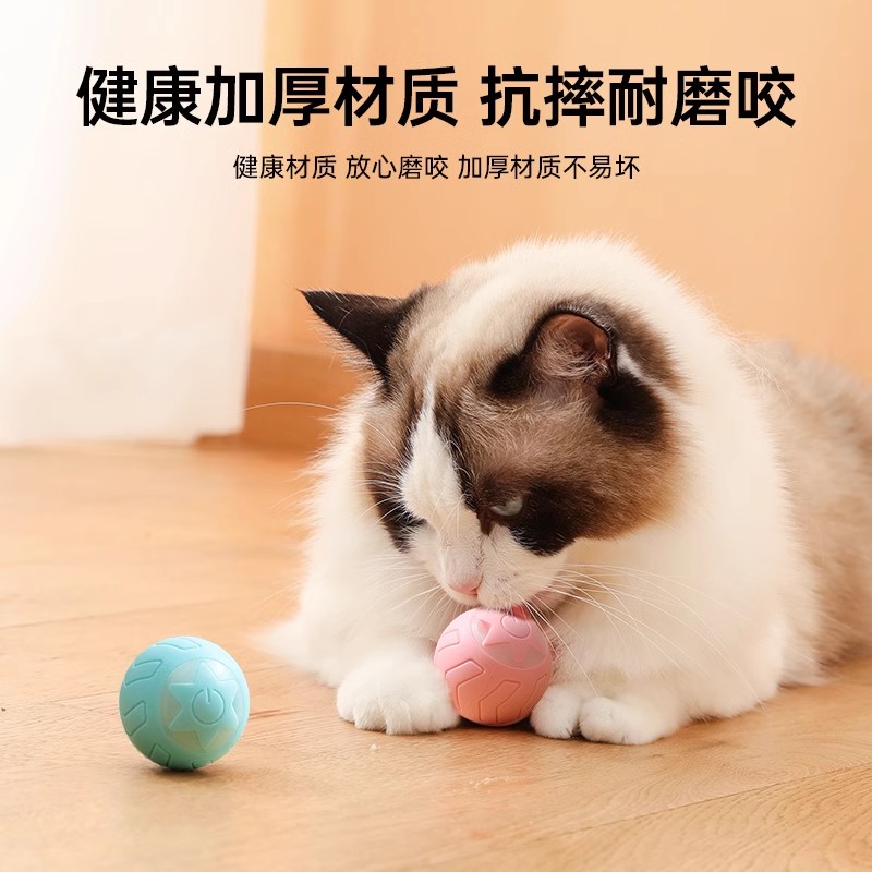 猫咪玩具自动逗猫球自嗨解闷逗猫棒小猫猫玩具猫玩具电动猫咪用品-图2