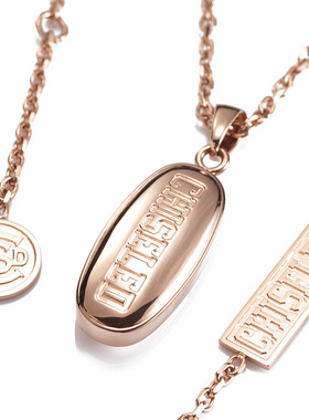 电镀18k金小众设计美国钛钢项链