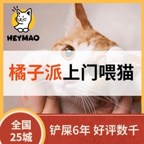 Feed-to-door Feating the cat National Pudong Guangzhou Hangzhou Sumzhou Suzhou Pet Pet Pet Pet Feed