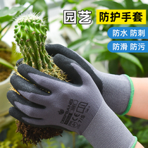 Gardening gloves anti-stab and waterproof pull grass gloves wear resistant anti-slip anti-prick multifunctional floral labour protection thick gloves