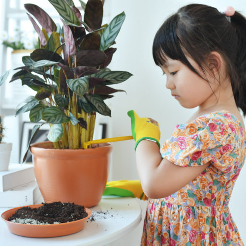 儿童园艺手套防刺防水拔草幼儿园劳动课手套安全防护防扎种花手套 - 图1