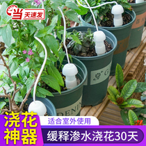 Garden Watering Divine machine darrosage automatique Home Balcony Raising Flowers Poche Plant Drip Irrigation Drip pour les personnes paresseuses