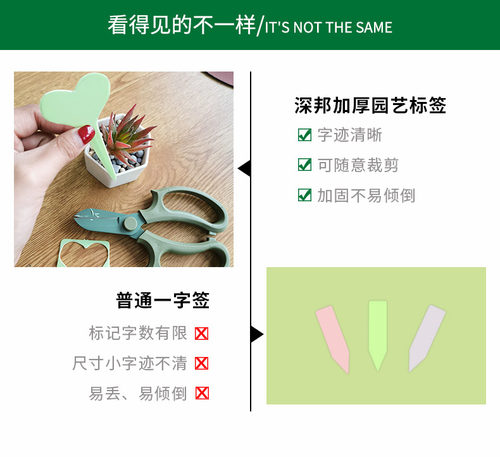 园艺多肉标签牌园艺植物花名花盆塑料标签防水小插牌多肉盆栽标签 - 图3