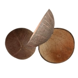 Кокосовая оболочка накрытия DIY Plate Cushion Diseergarten Dance Props Неусобленные кокосовые раковины крышка