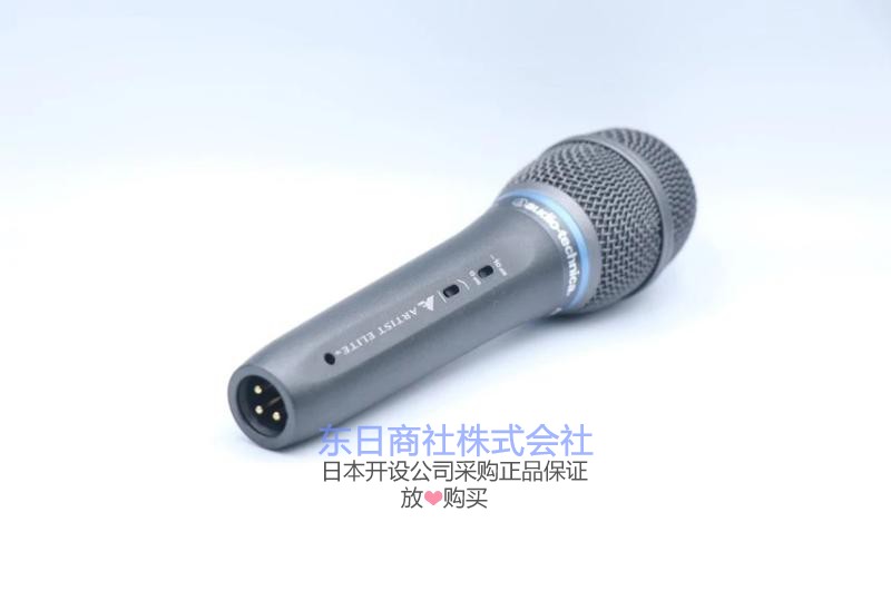 AudioTechnica/铁三角 AE3300 大振膜人声K歌演出 电容话筒麦克风 - 图1