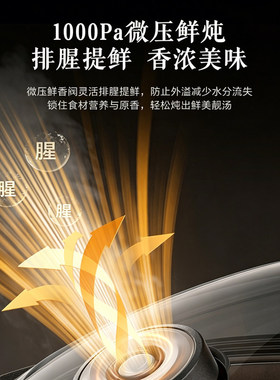 苏泊尔远红外电炖锅煮粥煲炖汤锅