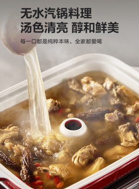苏泊尔电蒸锅家用多功能不锈钢蒸汽锅早餐机预约蒸炖锅三层蒸笼