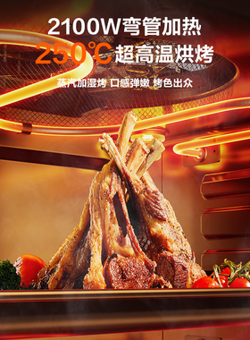 苏泊尔电烤箱家用大容量蒸烤炸炖一体多功能智能调控长效预约烘焙