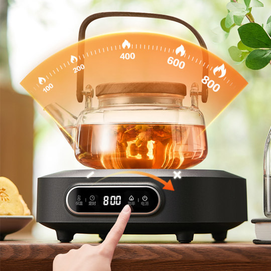 Supor Electric Pottery Plag