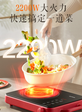 苏泊尔电陶炉家用爆炒多功能一体