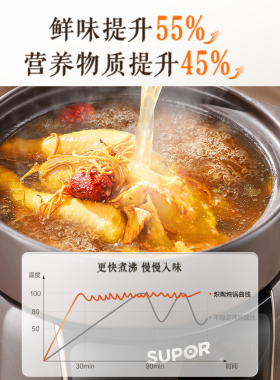 苏泊尔电炖锅中华炽陶家用煲汤大功率多功能5L免管智能预约电砂锅