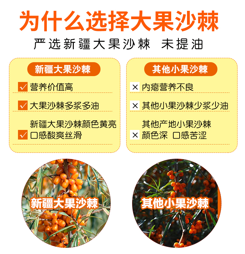 沙棘原浆袋装100%纯野沙棘汁鲜果生冷榨无添加500克新疆特产-图2