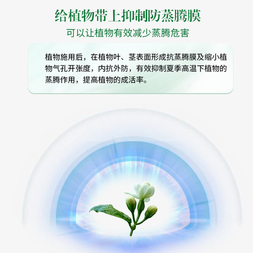 植物蒸腾抑制剂苗木运输保水剂防失水抑制蒸腾剂大树移栽控蒸腾剂 - 图2