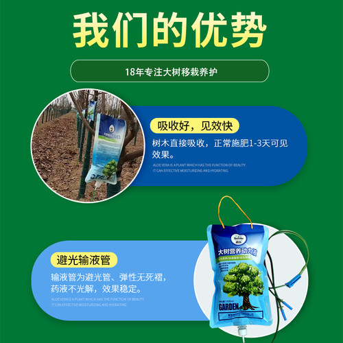大树营养液果树促芽生根激活液老树复壮输液袋园林树木移栽吊针液 - 图1