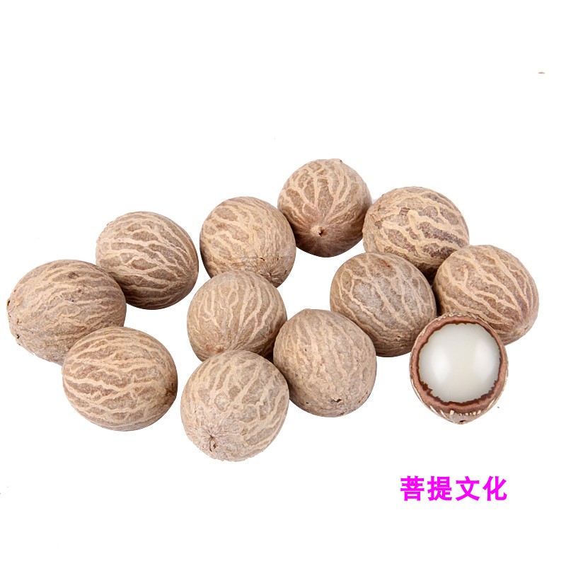 白玉菩提根新款菩提子白果原果直径11-30mm 菩提根大果原料论斤卖 - 图3