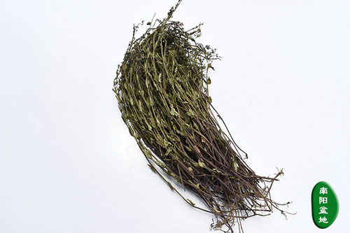 中药材正品农村纯半枝莲并头草韩信草赶鞭牙刷草1斤包邮全草带根 - 图1