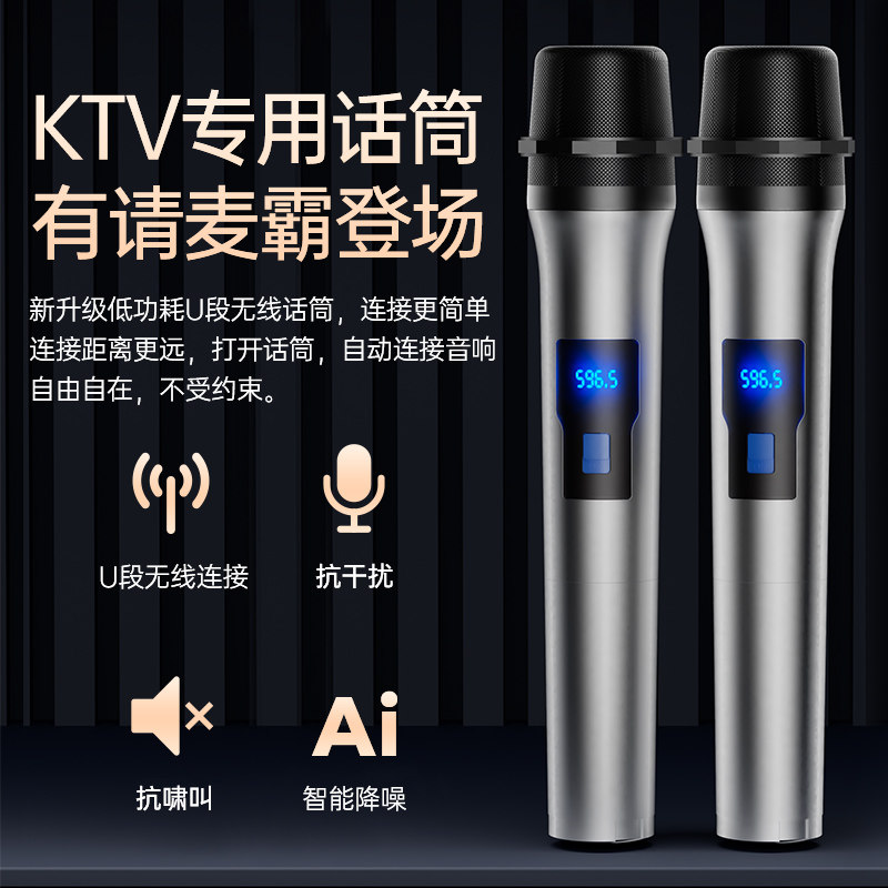  蔡琴KTV/卡拉OK音箱