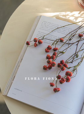 FloraFiona天然果实婚庆布置