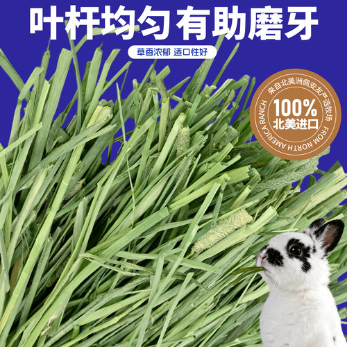 提摩西草段进口美提一番澳麦黄金燕麦草兔子干草豚鼠龙猫晒干草粮 - 图0