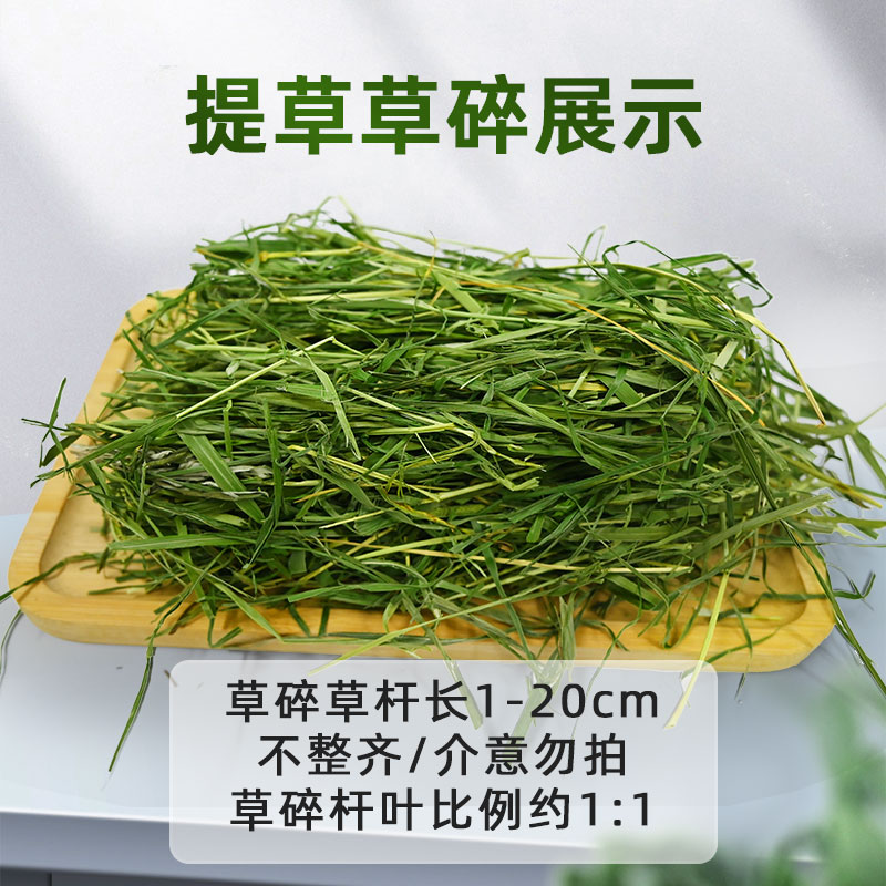 高性价比烘干提摩西草草段草碎草杆贵提干草兔子草粮饲料龙猫牧草 - 图1