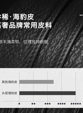 皮尔卡丹男士商务自动扣皮带