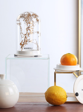 kaheku简约玻璃罩装饰摆件蛋糕罩
