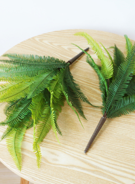 柔软手感高仿生植物满满高级感