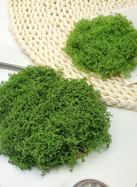 仿真青苔丝苔藓遇水不掉色