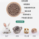 German Bunny Balanced Vegetarian Rabbit Guinea Pig Totoro
