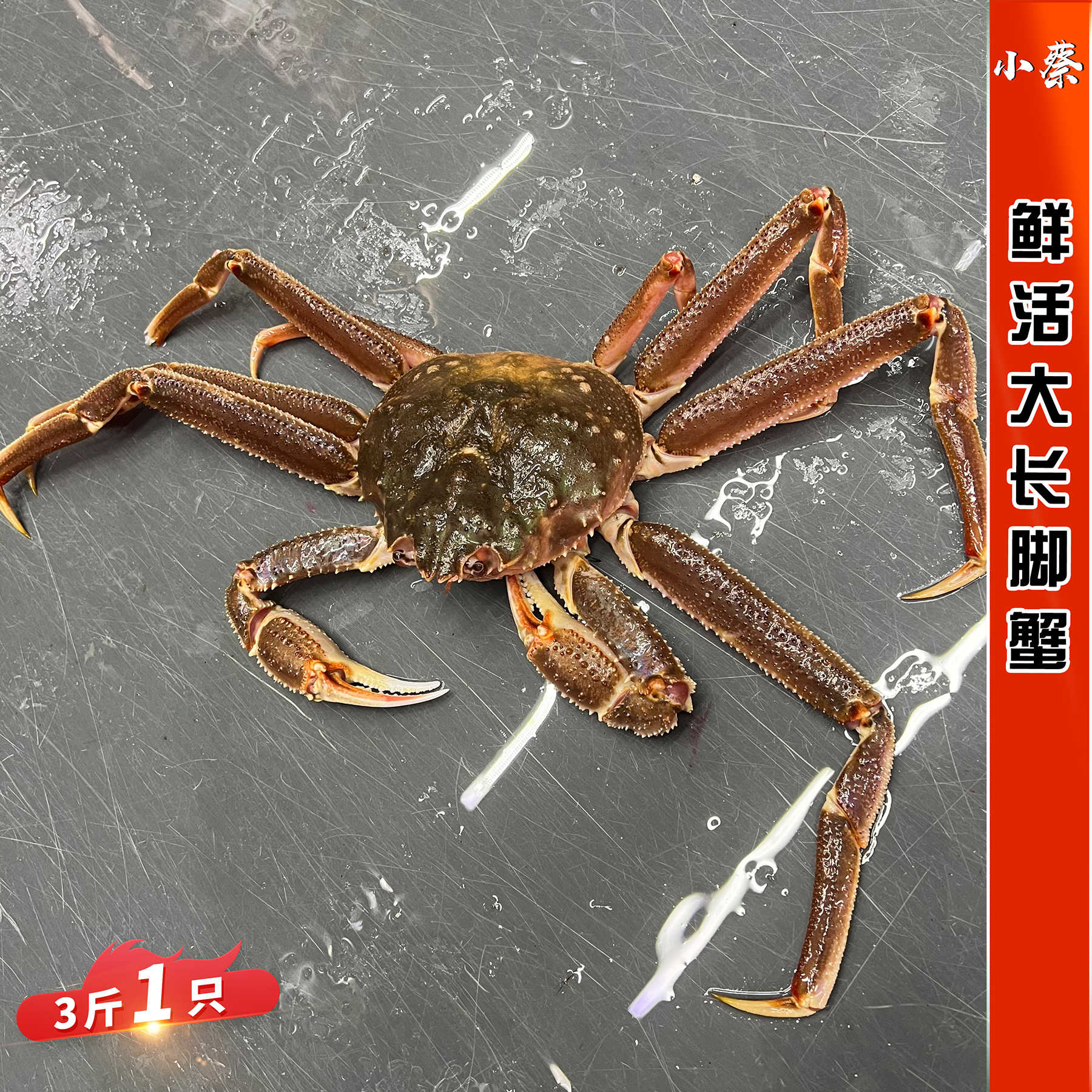 板蟹 新人首单立减十元 22年10月 淘宝海外