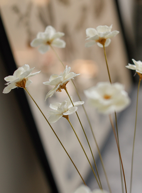 北欧奶油风手工雏菊干花小花束
