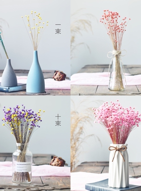 巴西迷你小雏菊干花满天星