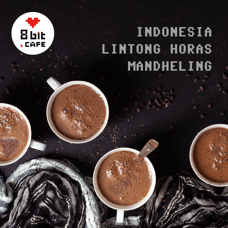 8bit新季印尼苏门答腊林东禾纳斯G1曼特宁新鲜烘焙精品黑咖啡豆粉