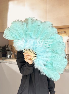 手工制作鸵鸟羽毛扇子中号45CM走秀舞台表演写真摄影直播道具扇子