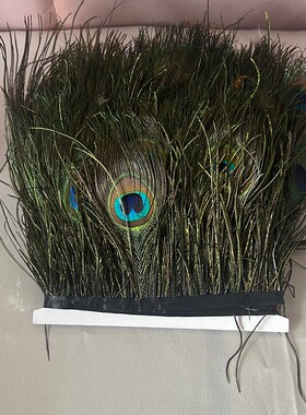 孔雀羽毛尾羽丝飞蝇钩绑制羽毛 马口白条飞蝇钩绑制孔雀羽毛尾羽