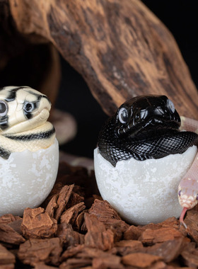 爬宠系列不倒翁王蛇系列周边手办模型潮玩摆件 模玩模了