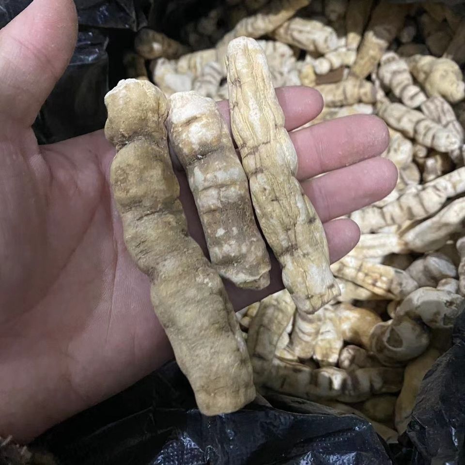 云南野生阳鞭参250g龙鞭参泡茶中草药起的快腾冲特产泡酒料-图0