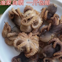 Shandong Tproduction Bohai Bay ready-to-eat 8-claw fish seafood Half dry stock Eight with fish octopus dried stock ink fish Little squid