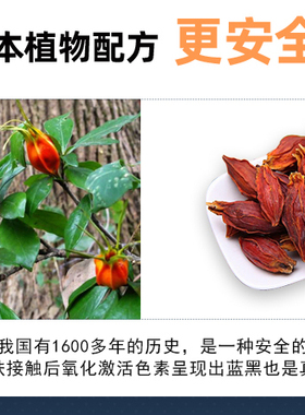 两张果汁草本纹身防水持久仿真