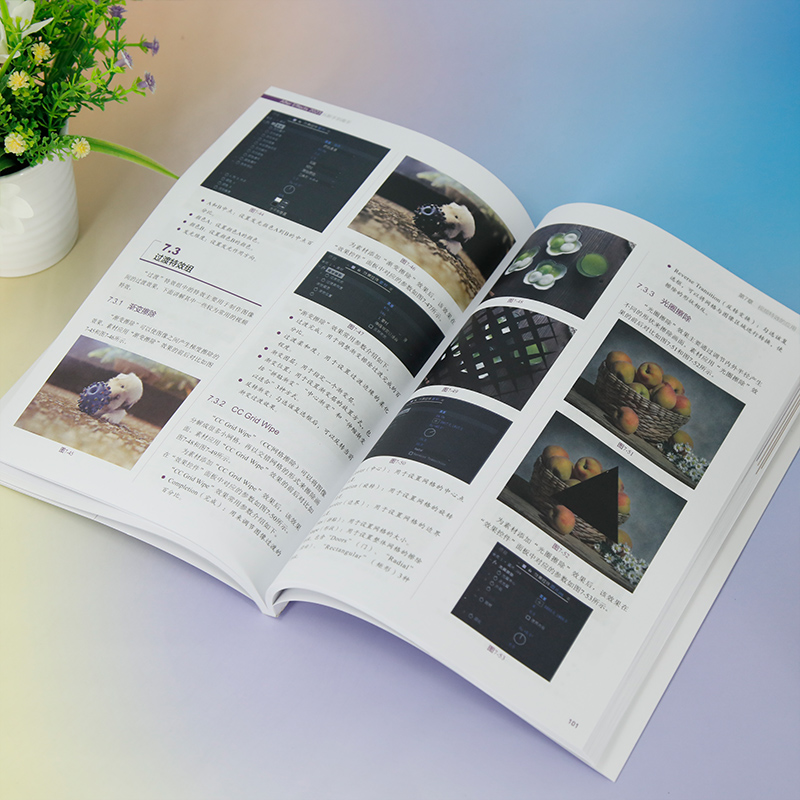 【官方正版新书】 After Effects 2023从新手到高手 李昔 清华大学出版社 图像处理软件 - 图2