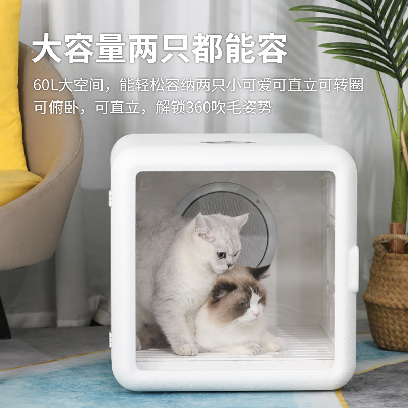 宠物烘干箱全自动猫咪智能吹水机家用小型犬洗澡神器狗狗吹风吹毛 - 图0