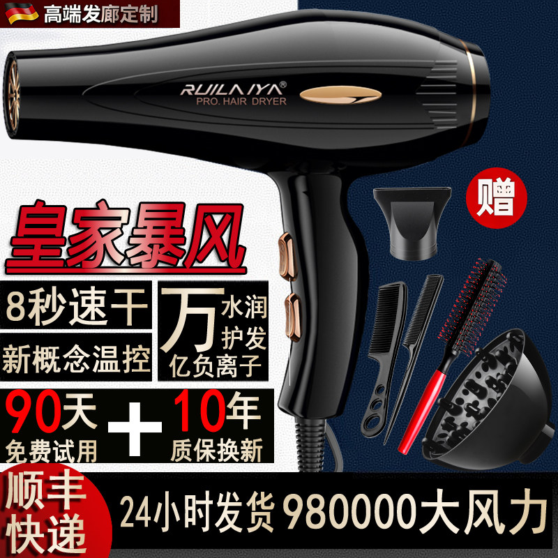 德国大功率家用发廊美发沙龙专用电吹风机9800高速负离子护发静音