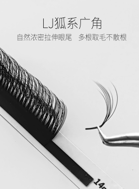 欧美出口5D山茶花野生LJ广角狐系嫁接假睫毛蓬松漫画泰式多根凌乱