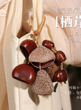 植物果壳挂铃音乐疗手摇铃铛满愿果实森系包包车挂配饰挂件礼物