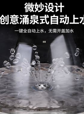 全自动电热烧水壶玻璃壶